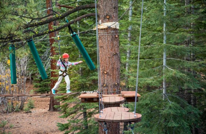 treetop adventure park