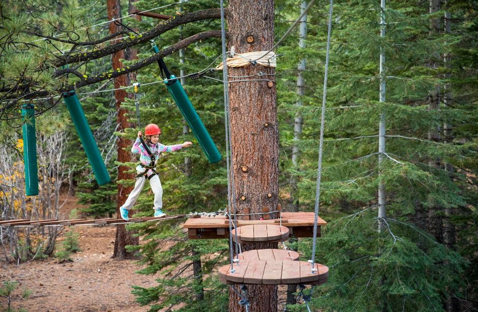 Why You Should Visit a Treetop Adventure Park This Festive Season