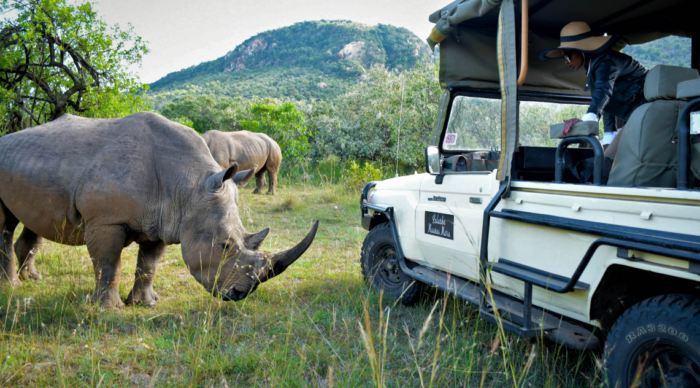 luxury African safari tours