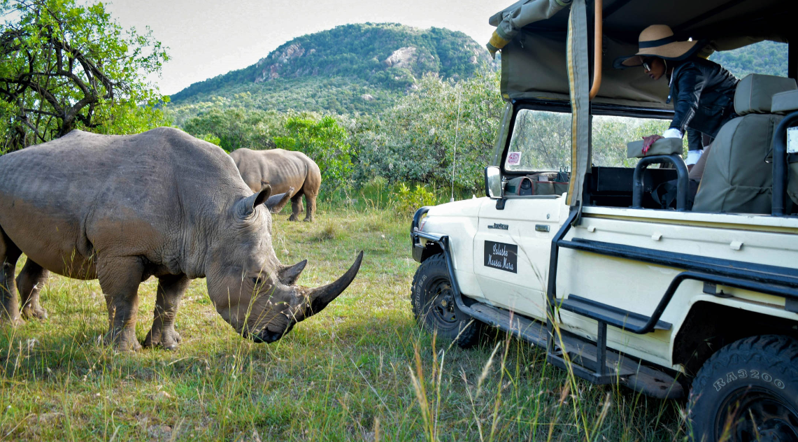 5 Perfect Locations for Luxury African Safari Tours