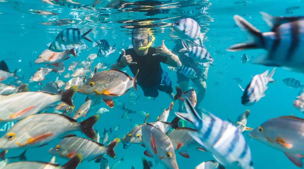 Dive into Paradise: Top Snorkeling Spots in Grand Cayman