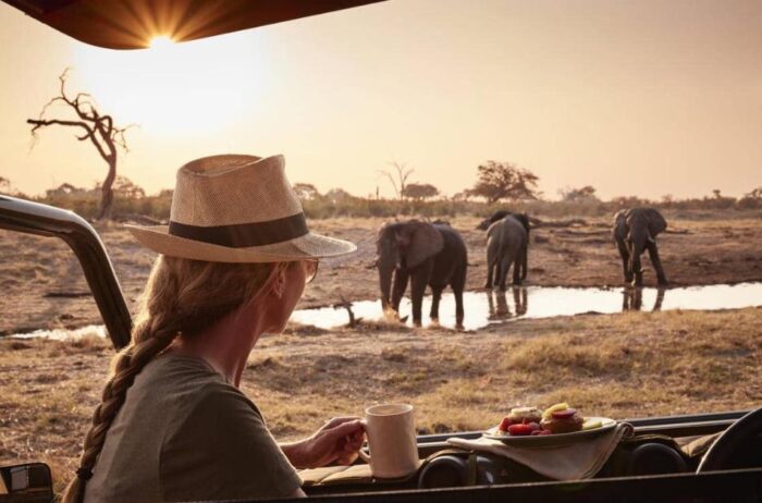 best luxury African safari tours